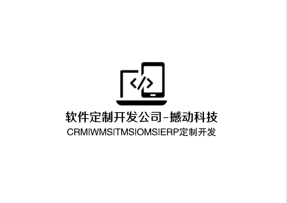 軟件定制開發